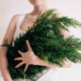 From the countries Vokalia and Consonantia